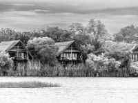 Rezerwat w Chobe (Botswana)